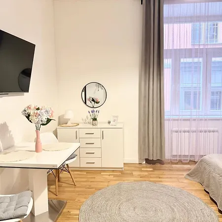 New! Romantic Apartment! In Centre! Florence! Apartament Praga